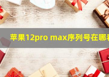 苹果12pro max序列号在哪看